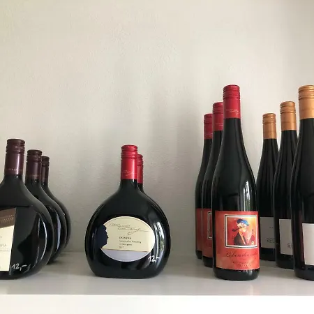 Ferienwohnung Mainblick Lejlighed Volkach